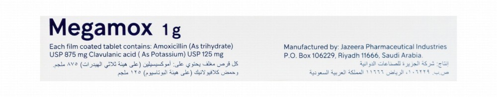 Megamox 1g Amoxicillin & Clavulanic Acid Broad Spectrum Antibiotic