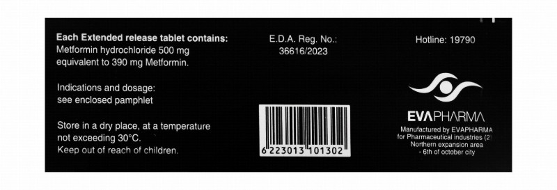 Metformin Hydrochloride XR 500mg Medication