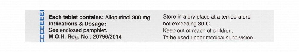 No-Uric 300mg Allopurinol Gout Medication