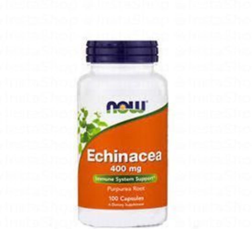 Now 400mg Echinacea Immune Support Supplement