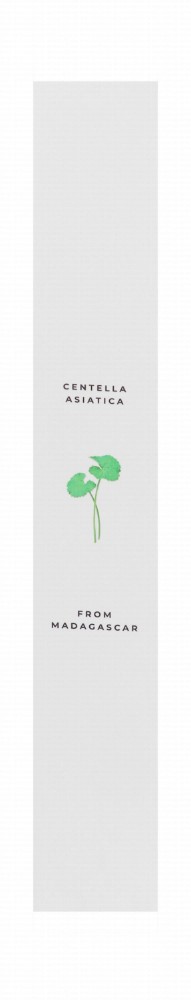 Skin1004 Madagascar Centella Eye Cream with Probio-Cica & Bakuchiol