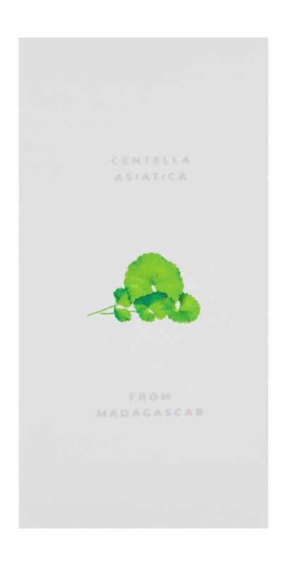 Skin1004 Madagascar Centella Poremizing Face Clay Stick Mask