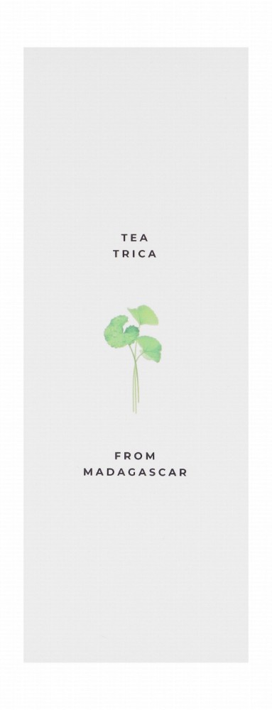 Skin1004 Madagascar Centella Tea-Trica Relieving Facial Ampoule - non comedogenic