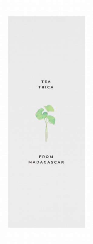 Skin1004 Madagascar Centella Tea-Trica Relieving Facial Ampoule - non comedogenic